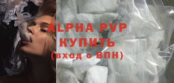 хмурый Абаза