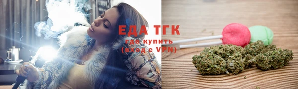 хмурый Абаза