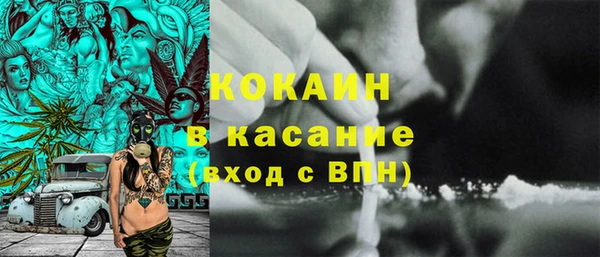 хмурый Абаза