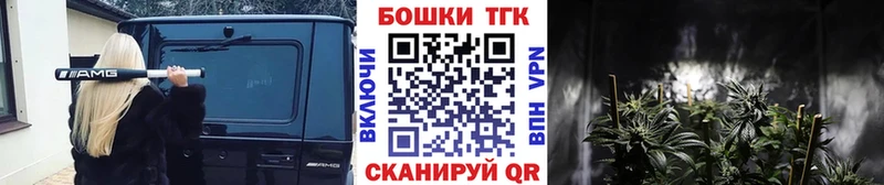 Бошки Шишки марихуана  Сусуман 